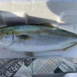 ほんまなんなん!