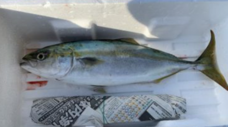 ほんまなんなん!