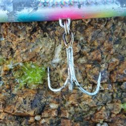 久々に納得の釣果がありました！