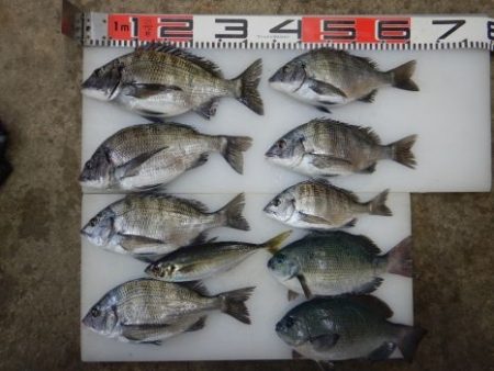 のとじま臨海公園海づりセンター 釣果