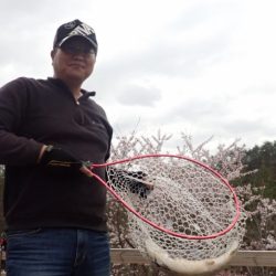 フィッシングレイクたかみや 釣果