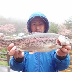 フィッシングレイクたかみや 釣果