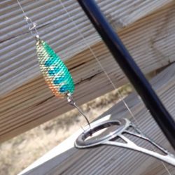 フィッシングレイクたかみや 釣果