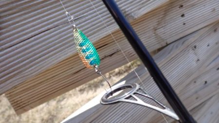 フィッシングレイクたかみや 釣果