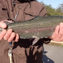 フィッシングレイクたかみや 釣果
