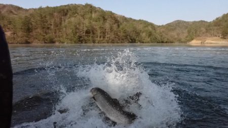 フィッシングレイクたかみや 釣果