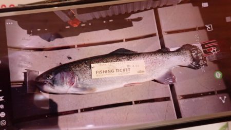 フィッシングレイクたかみや 釣果