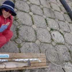 フィッシングレイクたかみや 釣果