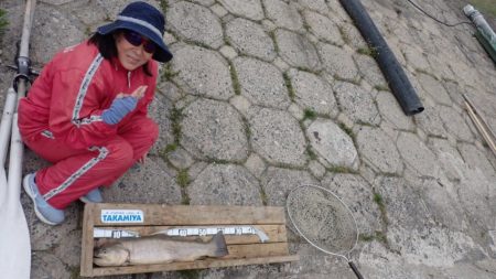 フィッシングレイクたかみや 釣果