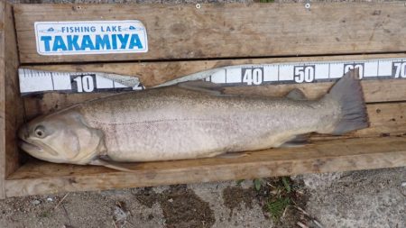 フィッシングレイクたかみや 釣果