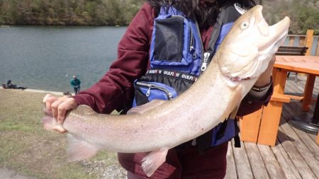 フィッシングレイクたかみや 釣果