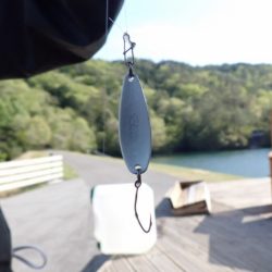 フィッシングレイクたかみや 釣果