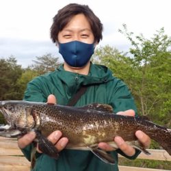 フィッシングレイクたかみや 釣果