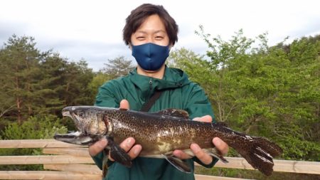 フィッシングレイクたかみや 釣果