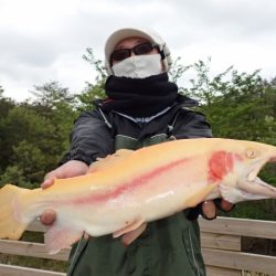 フィッシングレイクたかみや 釣果