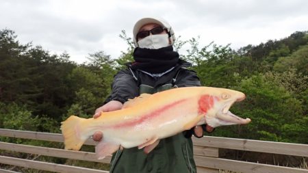 フィッシングレイクたかみや 釣果
