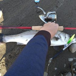 リバーシーバス