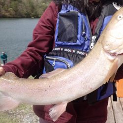 フィッシングレイクたかみや 釣果