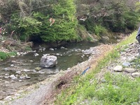 秩父フライフィールド 釣果