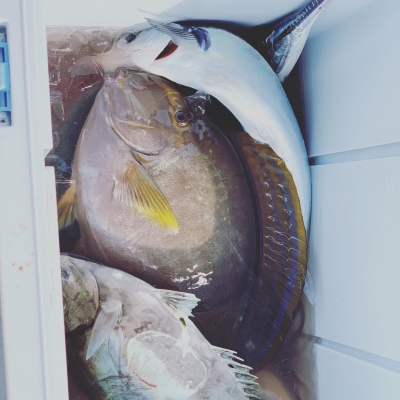 本部釣りイカダ 釣果