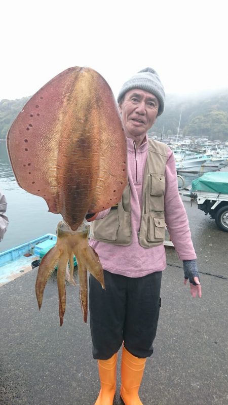 筏マルキ 釣果