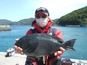 春日丸 釣果