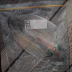 こかわ渡船　雅丸 釣果