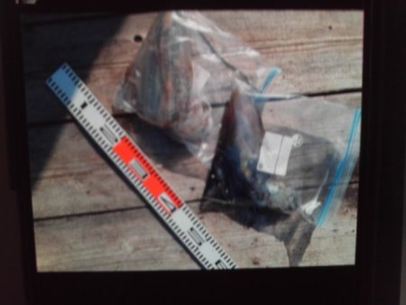 こかわ渡船　雅丸 釣果