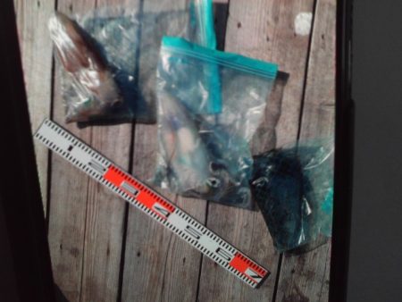 こかわ渡船　雅丸 釣果