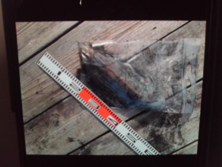 こかわ渡船　雅丸 釣果