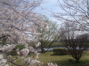 朝霞ガーデン 釣果
