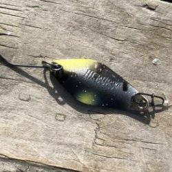 フィッシング サンクチュアリ 釣果