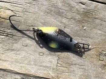 フィッシング サンクチュアリ 釣果