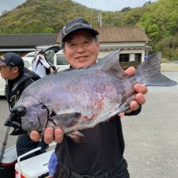 千津丸 釣果