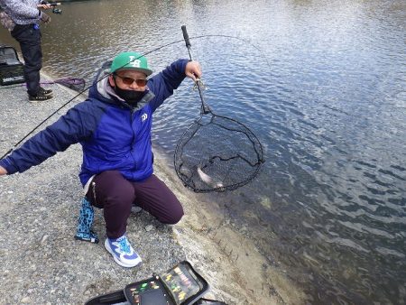 平谷湖フィッシングスポット 釣果