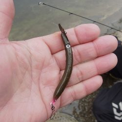 平谷湖フィッシングスポット 釣果