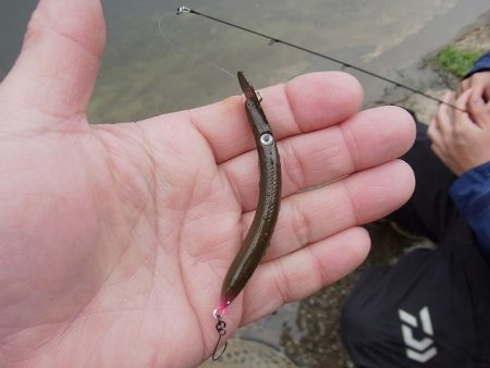 平谷湖フィッシングスポット 釣果