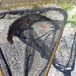 平谷湖フィッシングスポット 釣果