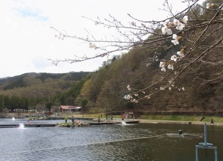 平谷湖フィッシングスポット 釣果