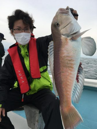 激レア　シロアマダイ　またまたゲット！