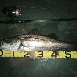 @久しぶりの60up!