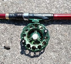 今年も奴が来た