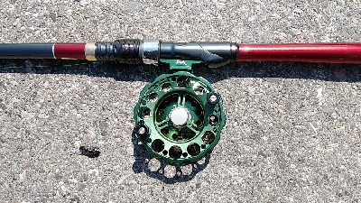 今年も奴が来た