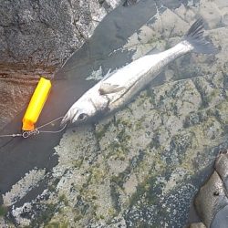 たまにくる大波を気にしながら釣り