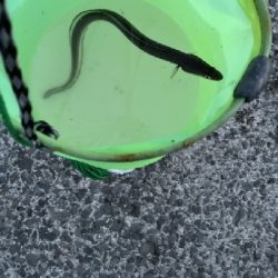 良い天気だったので