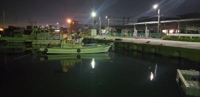 シーバス狙いに行ったけど