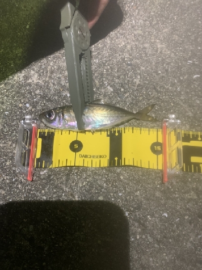 いつもと違う釣りで!