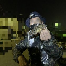 メバリング、ガシリング