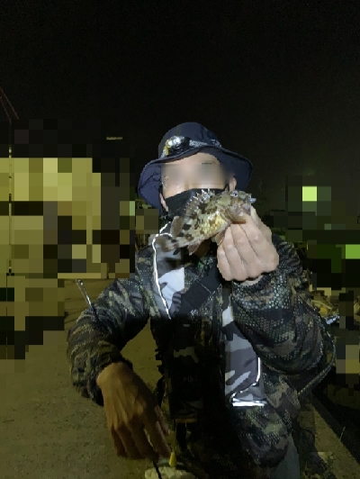 メバリング、ガシリング