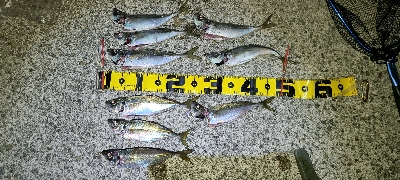 フロートアジング